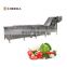 Industrial Air Bubble SUS304 Ozone Vegetable Washing Machine Fruit Washing Machine Leaf Vegetable Washing Machine for Factory