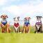 2021 New Arrival Summer Personalized Cute Customized Collar Cooling Bandana Dogs