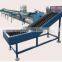 High quality Electronic Fruit Sorting Machine for different capacity