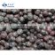 Sinocharm Brc A 1.5cm Whole Frozen Blueberry Bulk IQF Fresh Fruits Frozen Berries