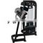 Wholesale Commercial Gym Equipment Strength Machine Biceps Curl Trainer