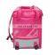 Custom Hot Insulated Large Thermal Motorcycle Pink Backpack Foodpanda Bag Food Delivery