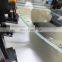 Professional RK-1500 Glass Plate vison machine for optical inspection with glass plate and CCD camera