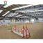 2022 China hot sell new type steel structure horse arena building