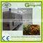 Sea Buckthorn branch freezing machine for the sea buckthorn fruit processing