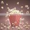 top quality automatic popcorn production equipment