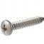 Cross Recessed Pan Head Self Tapping Metal Screws