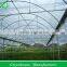 Good Price Greenhouses Growing Vegetable
