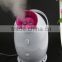 Hot & Cold facial steamer skin care whitening face