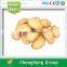 HOT SALE 2015 NEW CROP HIGH QUALITY HOLLAND POTATO