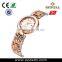 Elegant luxury vogue charming sapphire crystal ceramic watch with stainless steel strap