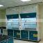hot selling lab exhaust equipment chemical fume hood cupboard