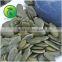 Form Pumpkin Seeds GWS (Grown Without Shell)