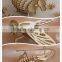 portable JQ Laser Wood plywood dieboard carving cutting Machine                        
                                                Quality Choice