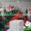 Fresh Red carrot With Various Size S M L 2L Carrot