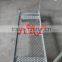 Iron mesh material push flower cart Garden tool cart TC032
