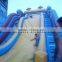hot sales giant inflatable dolphin slide/ slip