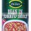 Canned White Kidney Beans In Tomato Sauce