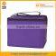 Hot Polyester Fitness Lunch Cooler Bag