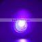 Profesional UV Flashlight with High Power 10W LED 390nm Wavelenght with Variable Focus for Urine Detection / Inspection