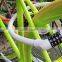 2015 hot sale bicycle cable lock