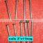 common iron nail