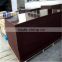 Film face waterproof plywood/ Concrete formwork film faced plywood