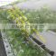 5metwr long large plastic agricultral soilless cultivation growing tray /strawberry vertical cultivation