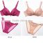 3D Push Up Bra Picture For Indian Womens Sexy Lingerie Girls (CS 21121)