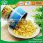 In Stock! Factory Wholesale New Crop Canned Sweet Corn