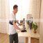 Ergonomic Electric Height Adjustable Office Desk
