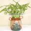 Decorative Plants for Living Room 40cm Straight Lucky Bamboo Live Plants for Wedding Gifts