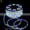 New Products 2016 Round 2 Wire Rope Lights/ Led Neon Flex Rope Lights
