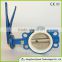 Worm Gear Actuated Flange Triple Eccentric Butterfly Valve
