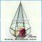 Hot selling wholesale indoor plant rose gold glass terrarium geometric