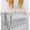 Golden Eagle water electrolysis equipment