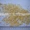 dehydrated onion granules 3x3 5x5 10x10mm