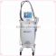 Factory direct supply vertical cooltech fat freezing machine