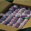 Chinese Normal White Fresh Garlic, 2016 Crop High Quality