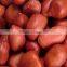 INDIAN BOLD PEANUT KERNELS 38/42 FOR SUPPLY