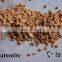 Food Grade Diatomaceous Earth Diatomite Powder Granules