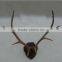 Wall Decoration Mounted Animal Dear Antler Horn Ornament