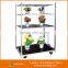 2017 Garden tool Flower Racks shelves Trolley