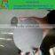 Best design steel handle stainless steel oil strainer/oil skimmer/oil sieve