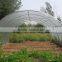 steel structural frame support greenhouse