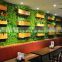 Green plants backdrop wall