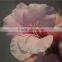 brand name artificial flowers docor plastic cape jasmine flower