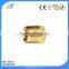 high quality Brass Customized plug adapter