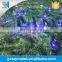 Custom-built terrain city planning architectural scale model makers