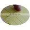 PP Strapping band for Packaging Supplier from China